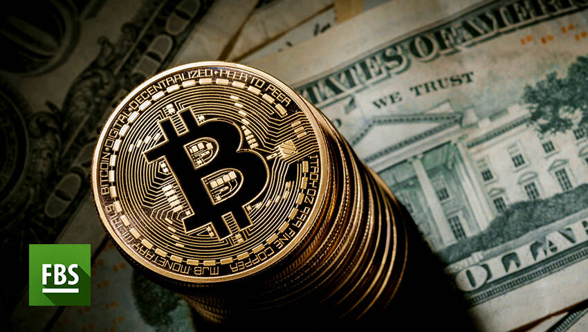 ما الفرق بين البيتكوين والبيتكوين كاش والبيتكوين جولد؟